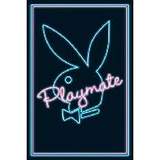 Playboy Playmate Neon Maxi Poster PP30363